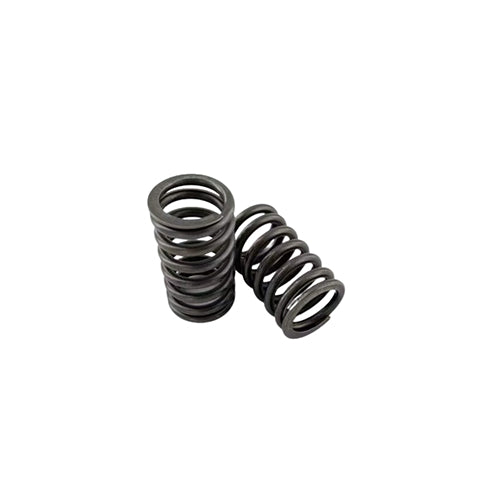 Cummins X15 Series Spring